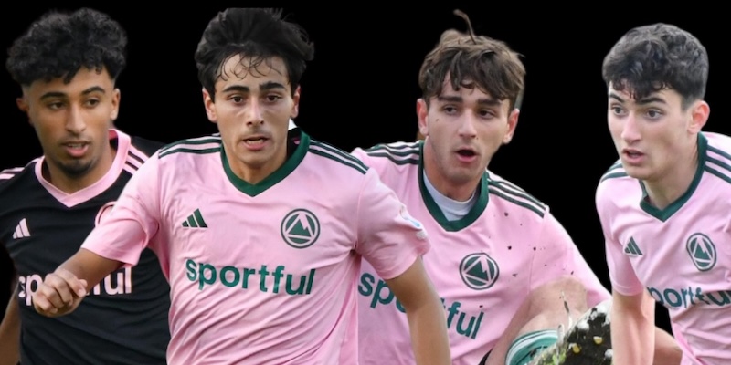 Il ringraziamento a Capacchione, Mizane, Pirrone e Schenal